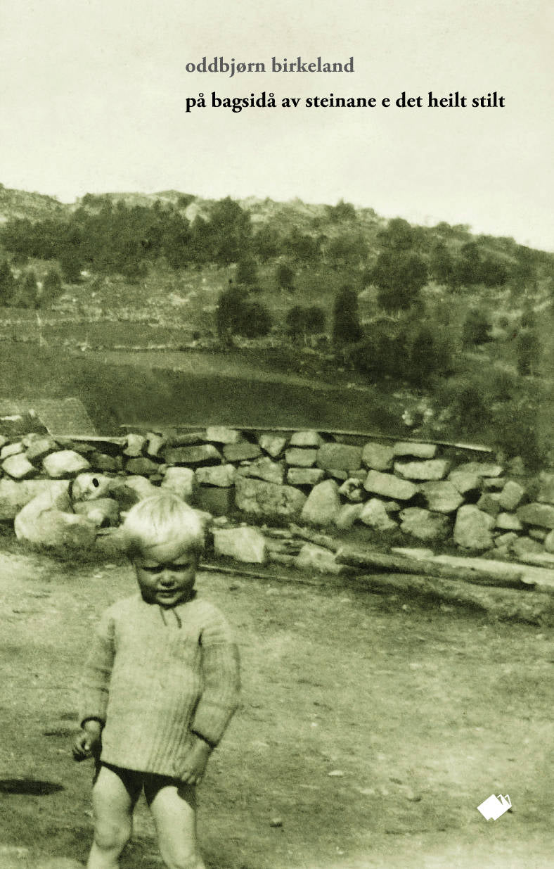 På bagsidå av steinane e det heilt stilt : dikt