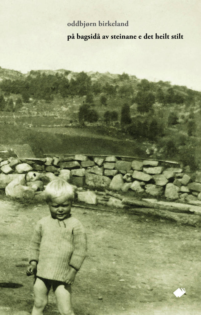 På bagsidå av steinane e det heilt stilt : dikt