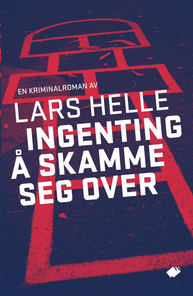Ingenting å skamme seg over : roman