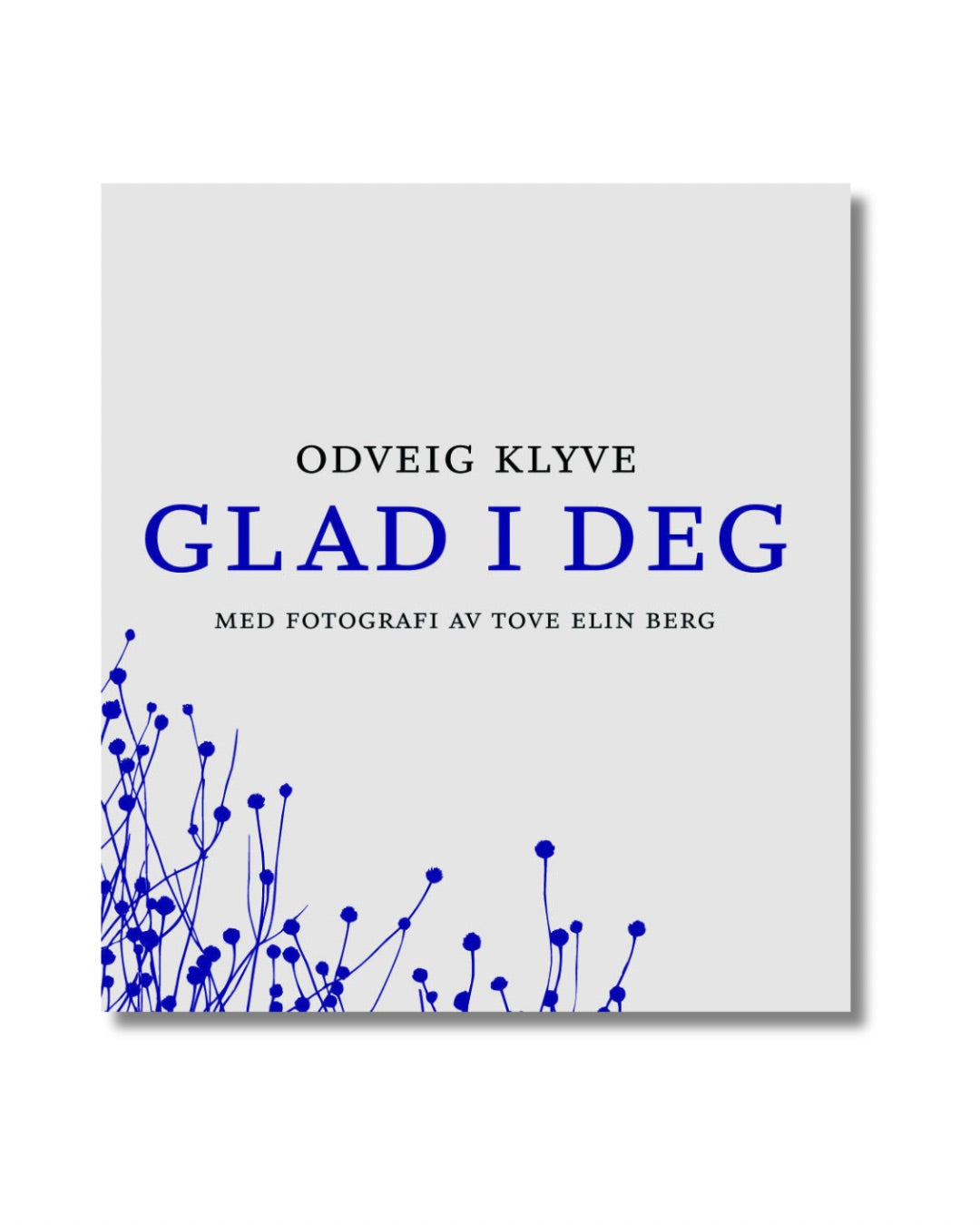 Glad i deg