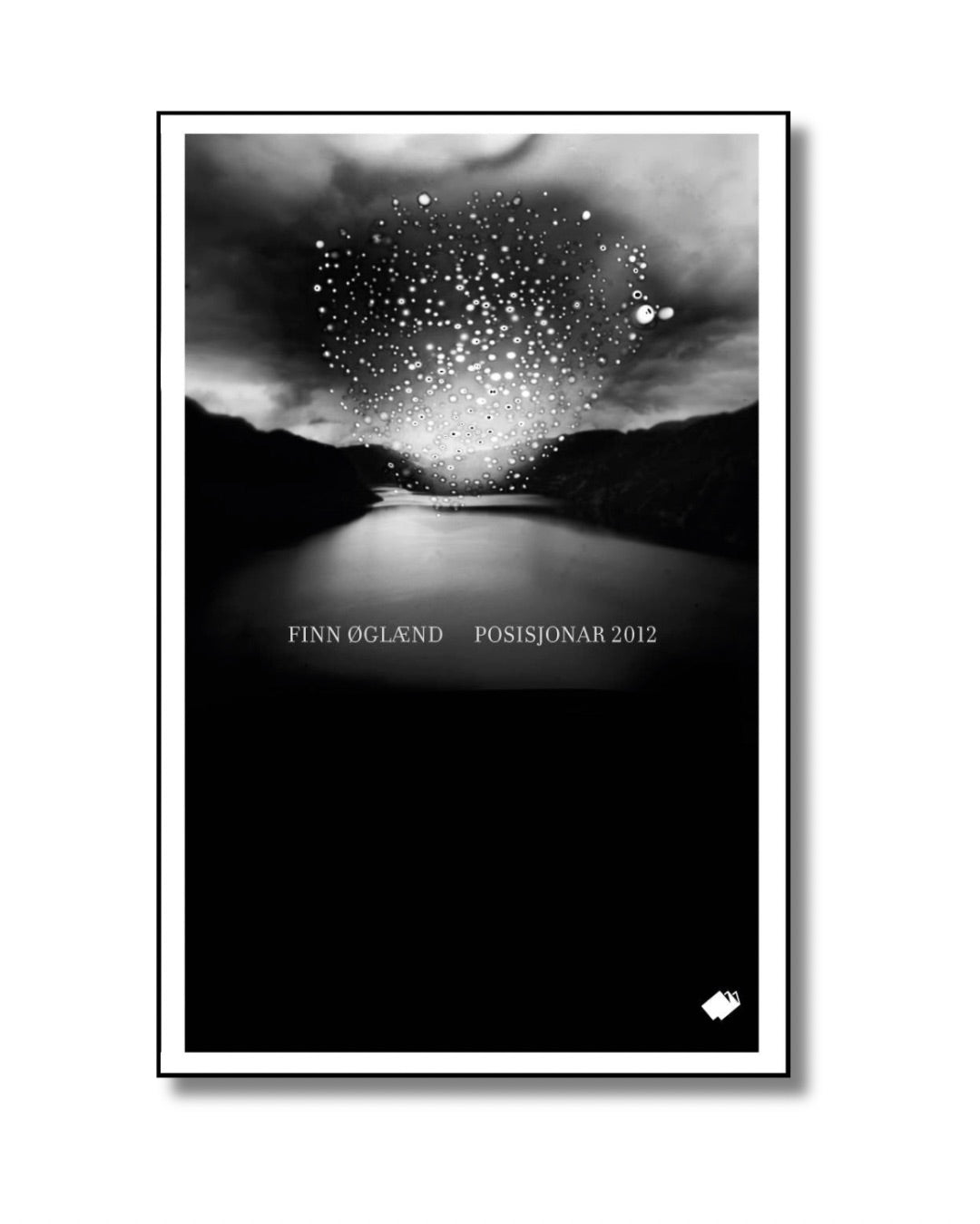 Posisjonar 2012 : dikt