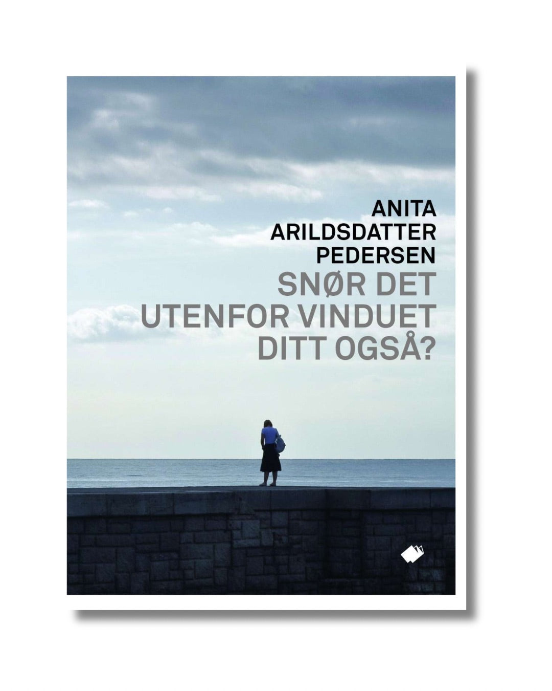 Snør det utenfor vinduet ditt også? : roman