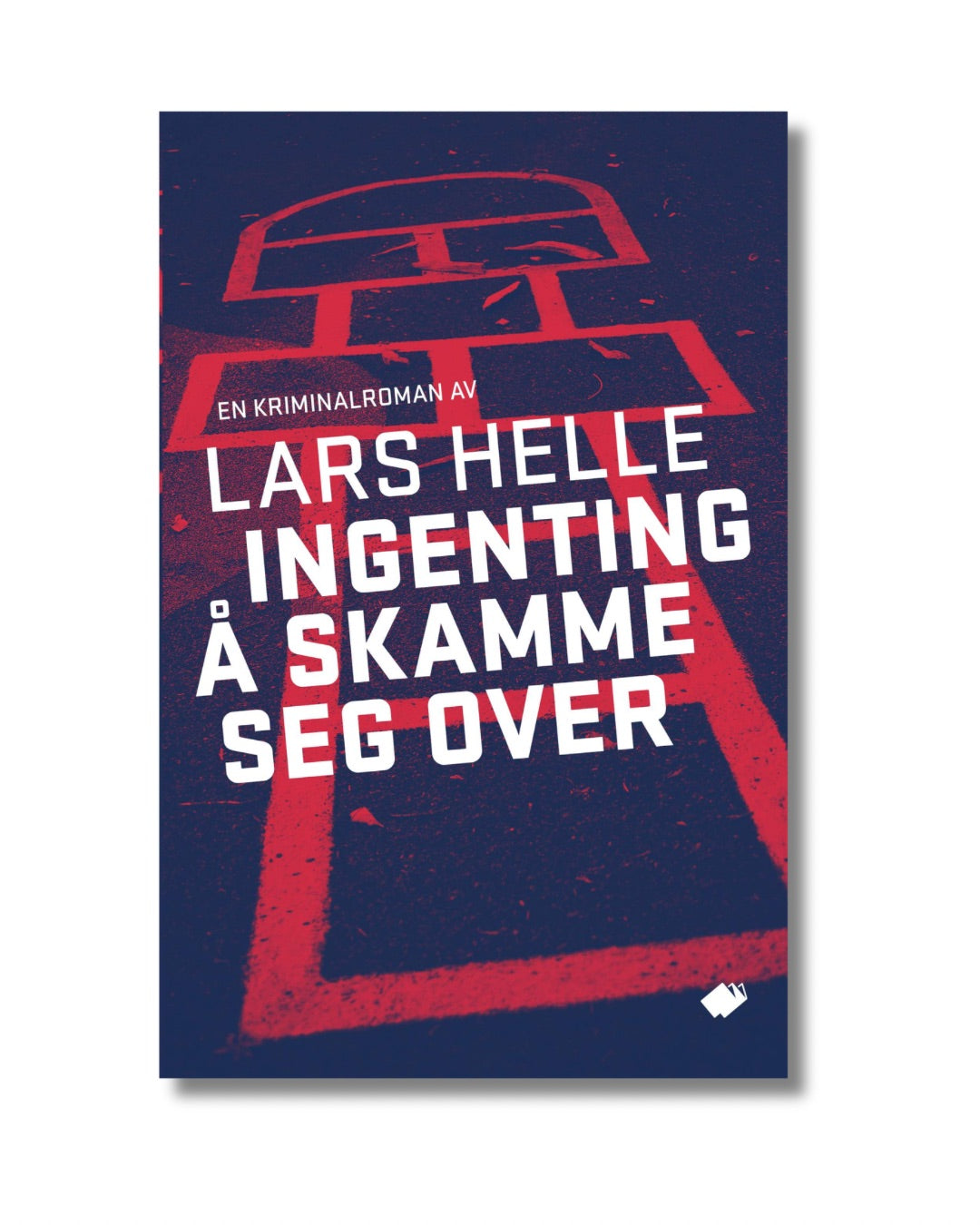 Ingenting å skamme seg over : roman